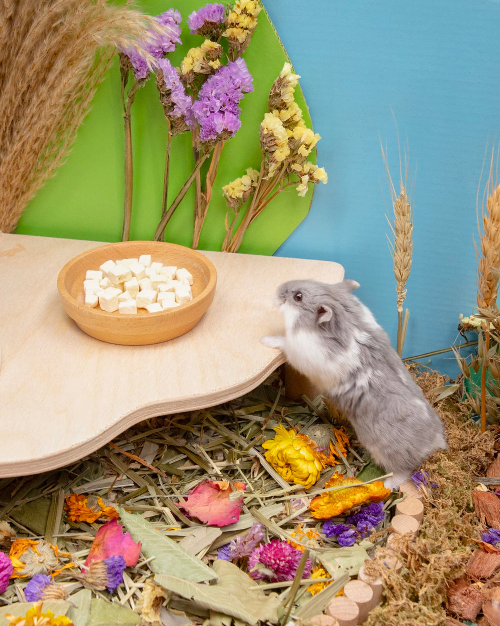 Niteangel Hamster Snack, envase práctico para compartir.