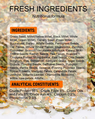Niteangel ingredientes seleccionados para hámster enano, apoyando dieta equilibrada.