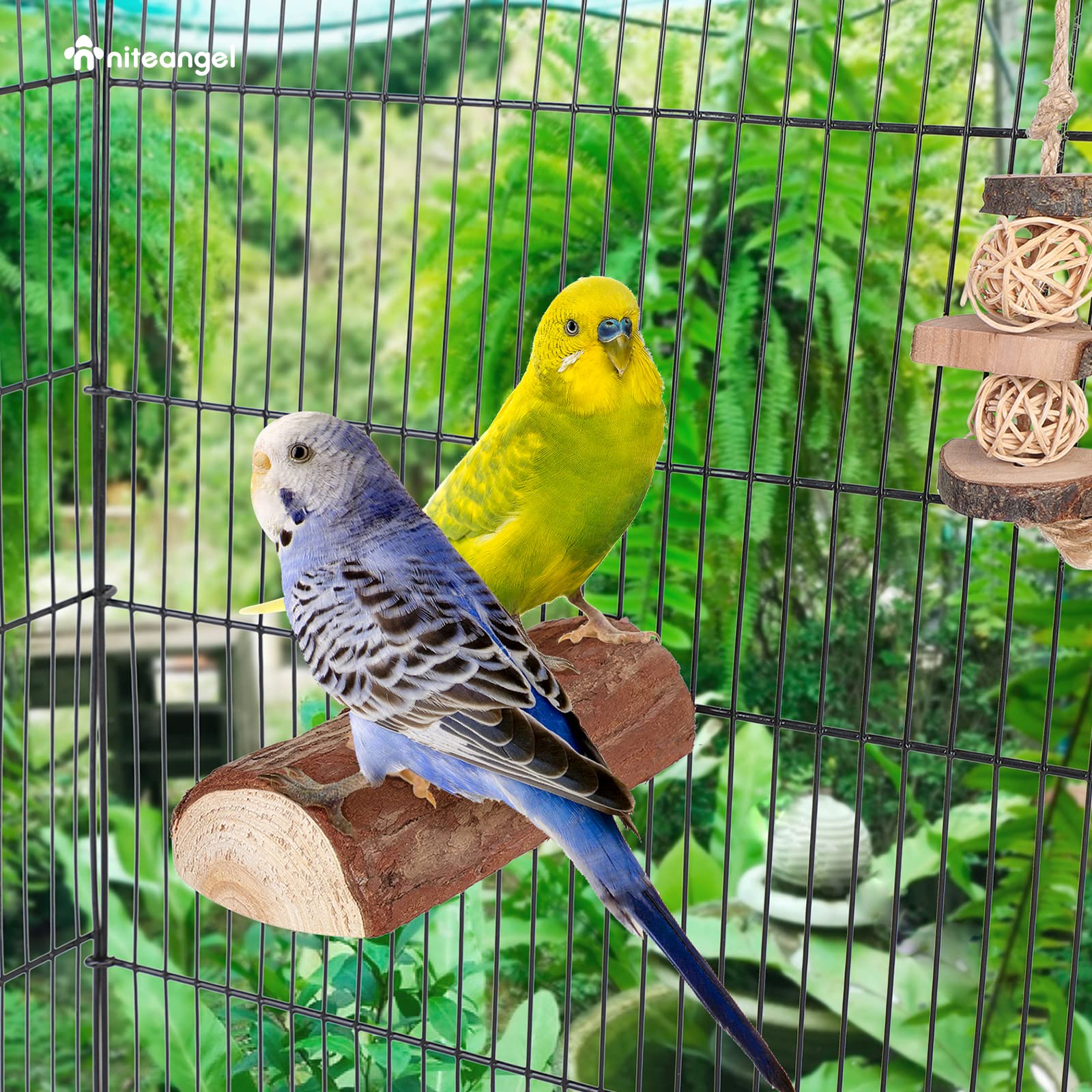 Madera de abeto natural Niteangel, adecuada para roer y dar forma al pico.
