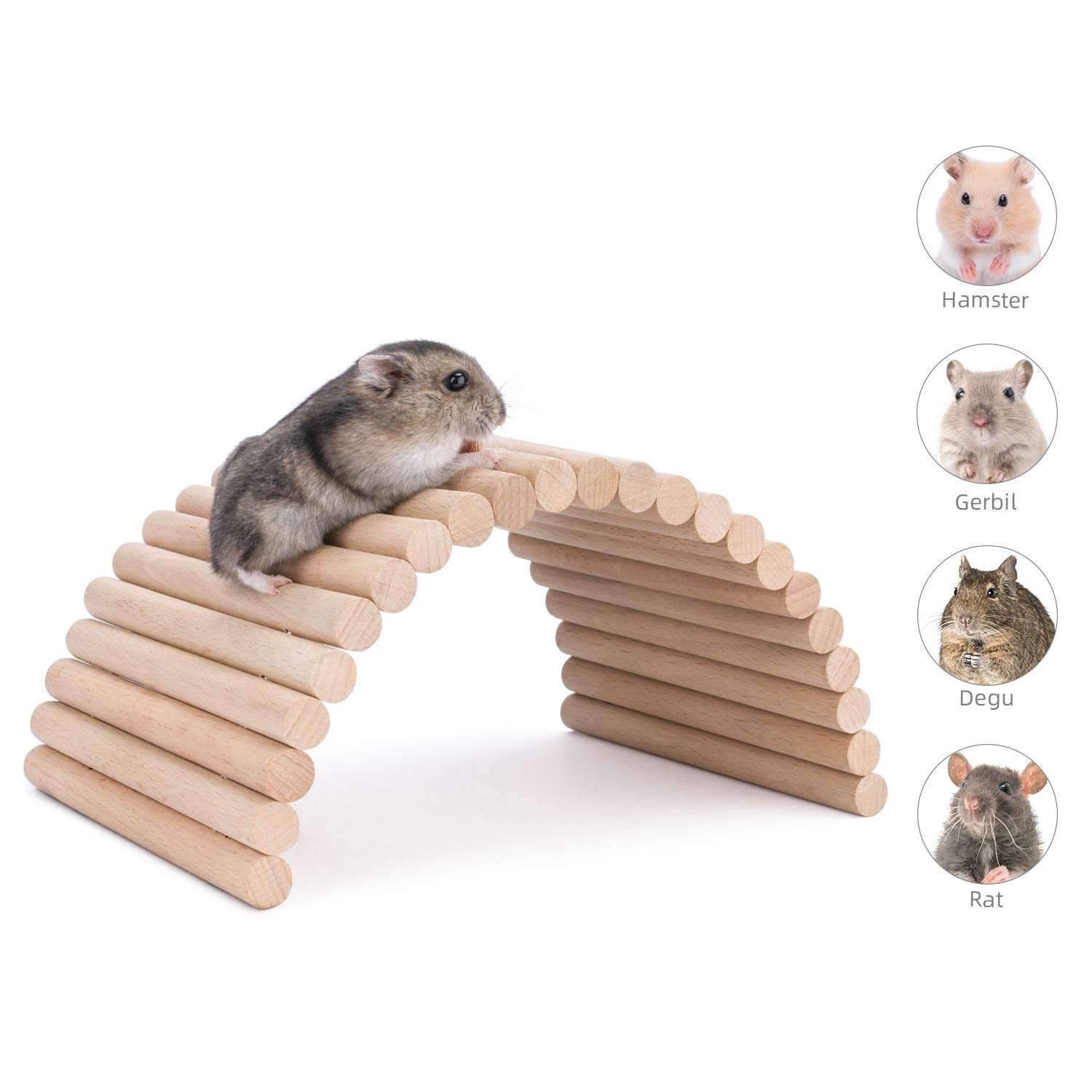 Niteangel rampa para hamster: acceso cómodo a áreas elevadas dentro de la jaula.