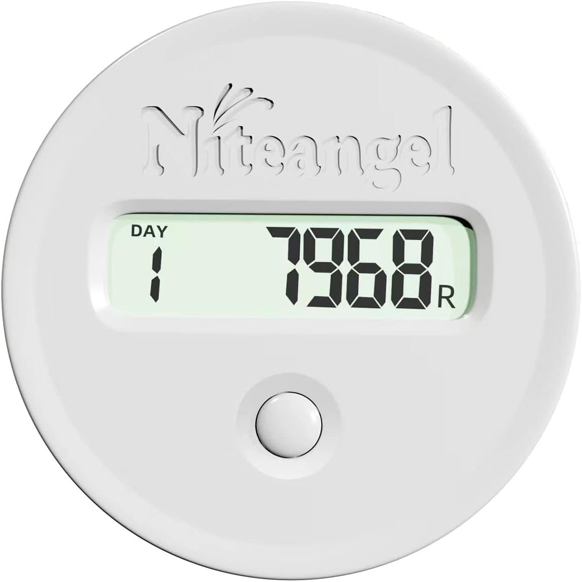 Niteangel: rueda para hámster con pedómetro en acrílico, registro silencioso de la actividad nocturna