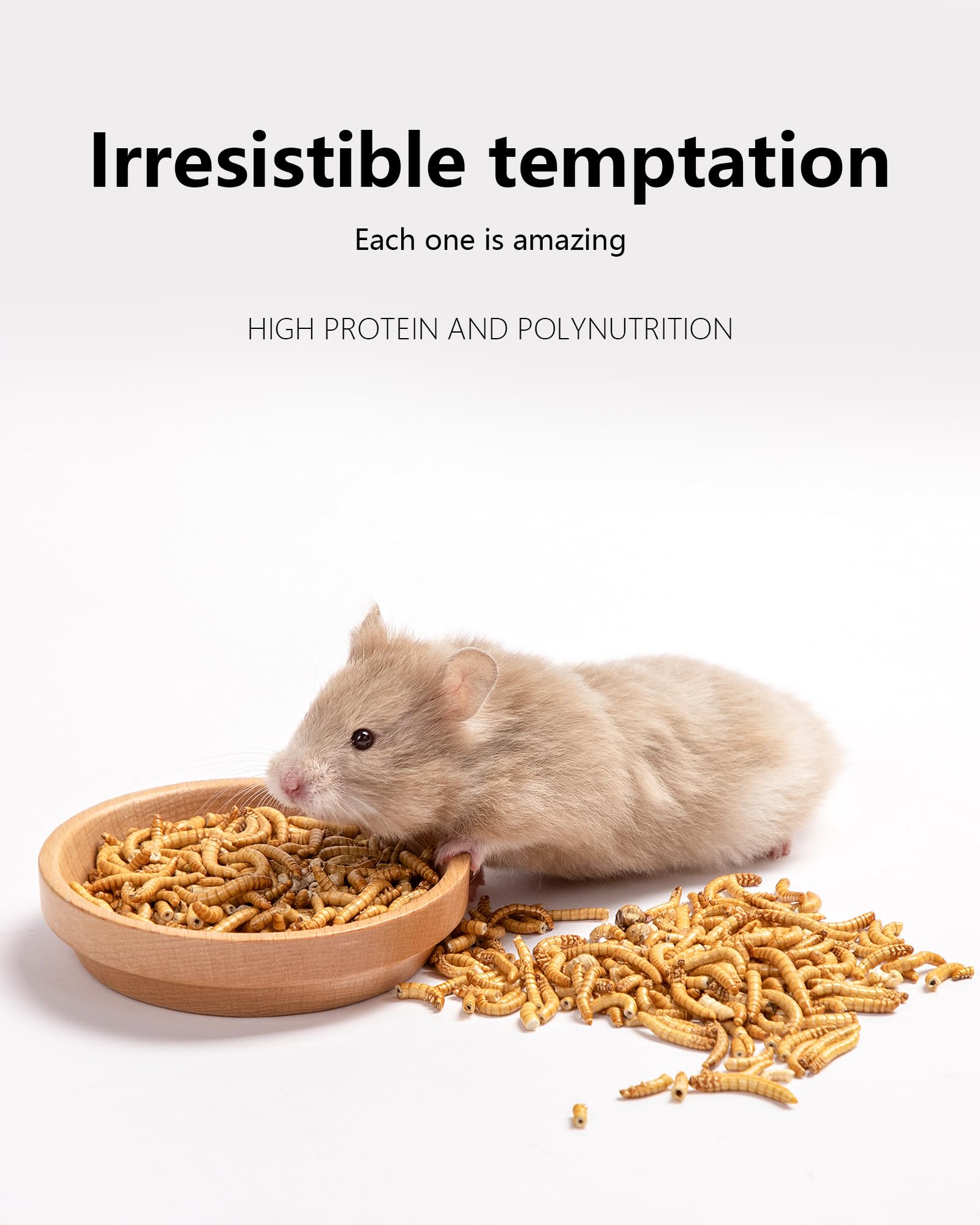 Niteangel snack para gerbil: premio proteico para energía y juego.