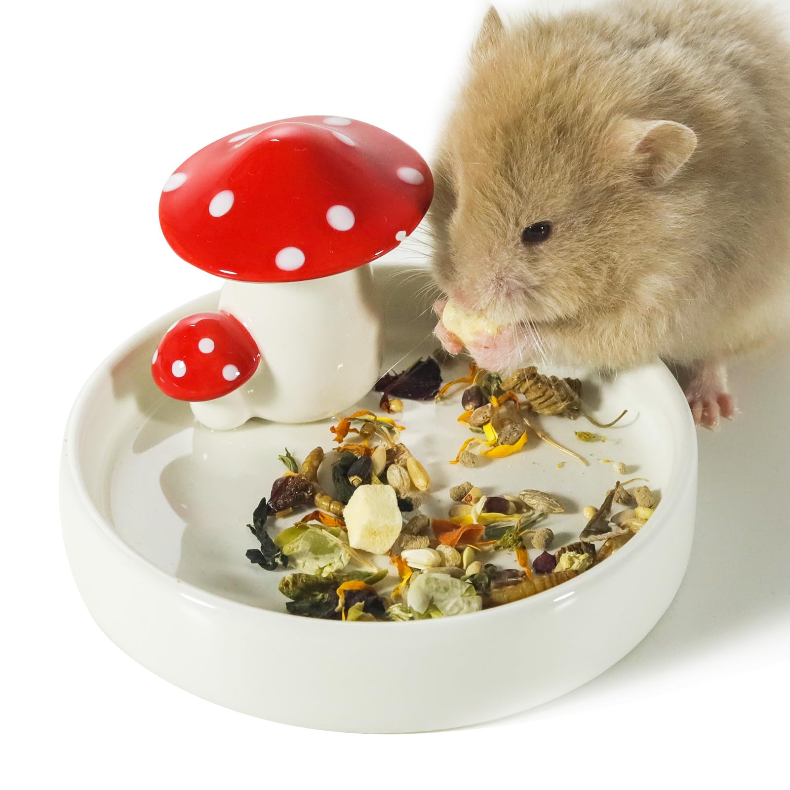 Niteangel tazón hongo cerámico para hamsters, diseño encantador para comer.
