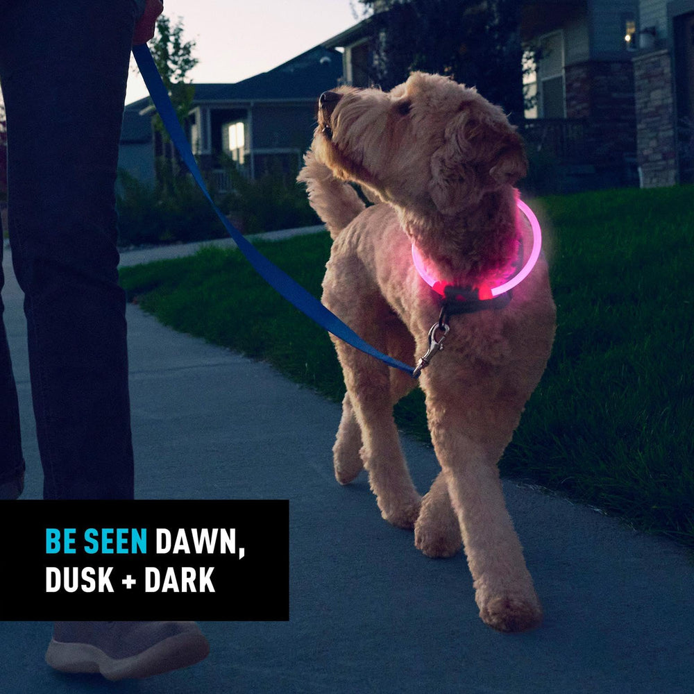 NiteHowl: carcasa resistente al agua para aventuras al aire libre.