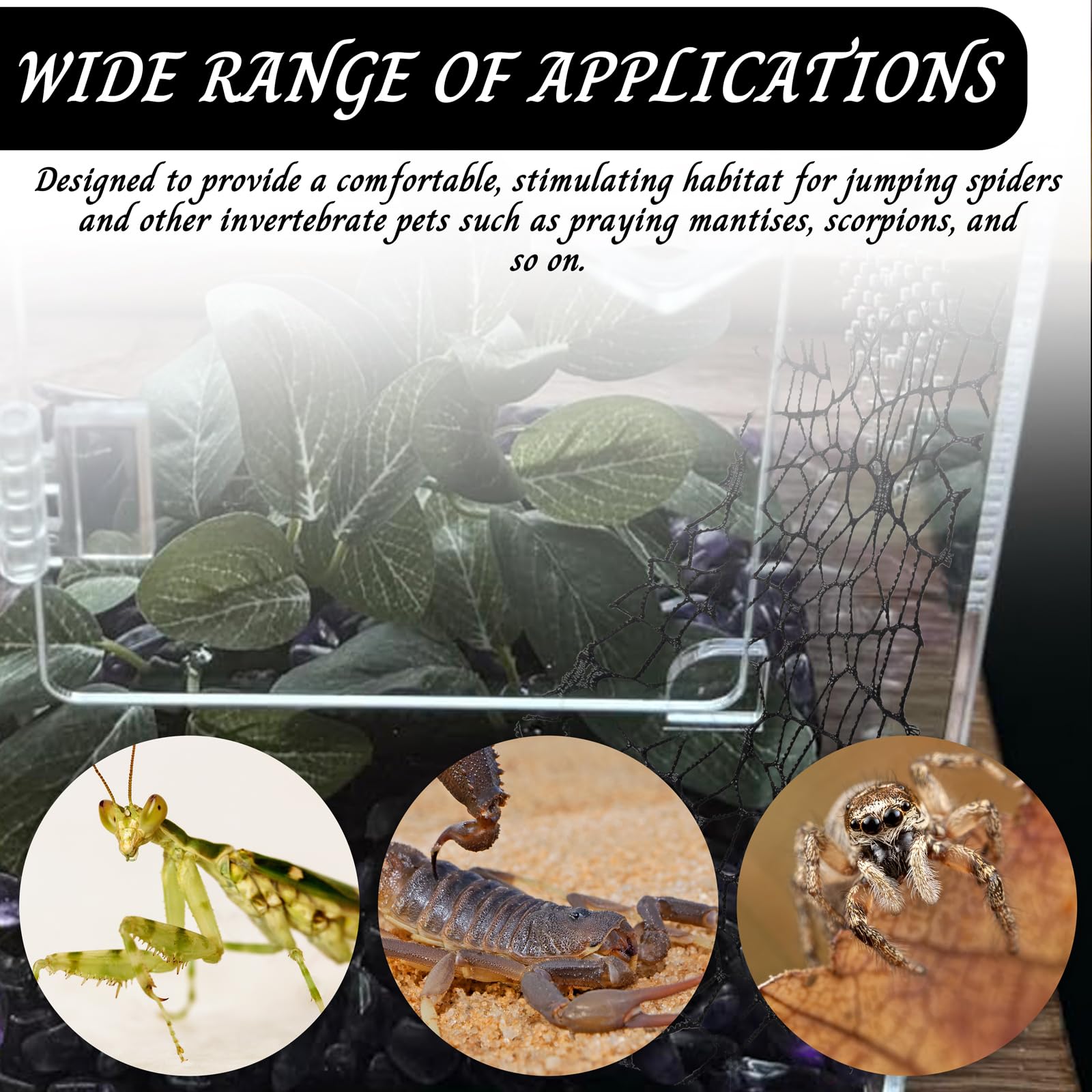 Niuohoy accesorios para hábitats de insectos y arañas
