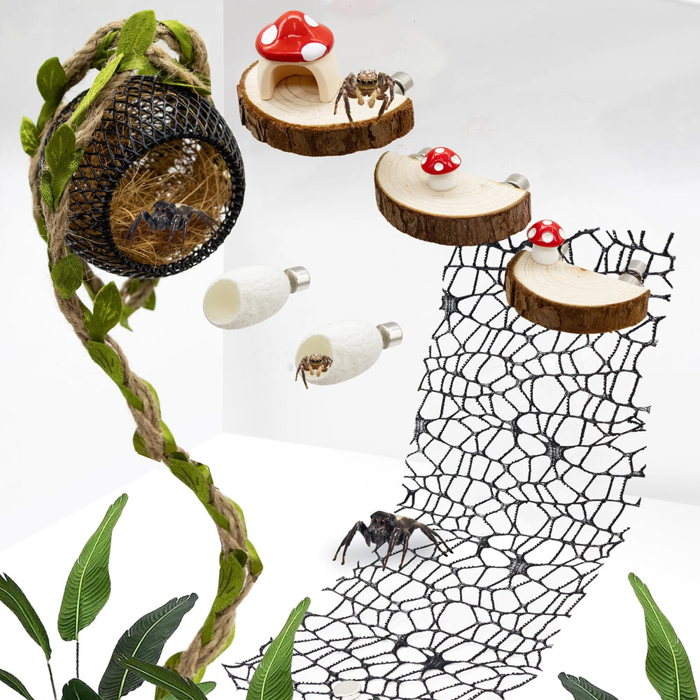 Niuohoy habitat arañas saltarinas para explorar en terrario.
