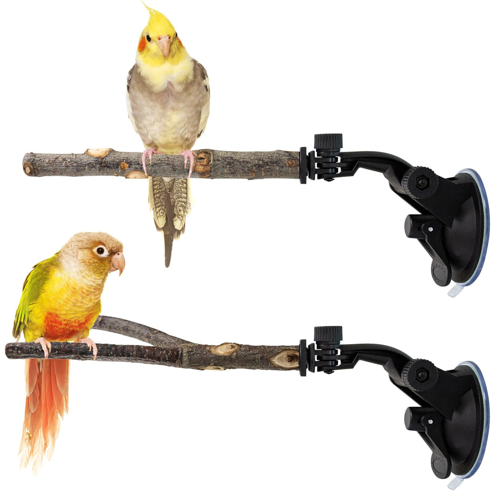 Niuohoy ventosa fuerte: percha estable para aves en ventana