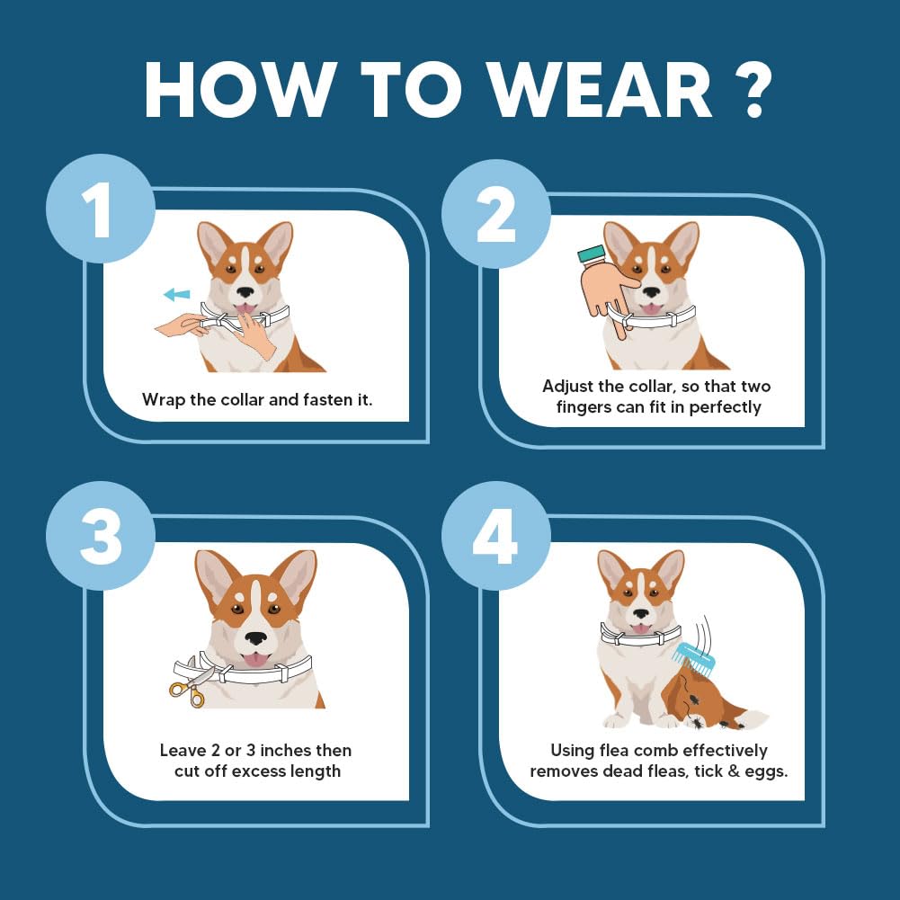 NJKPUYT collar seguro para mascotas y familia cuando se usa como se indica.