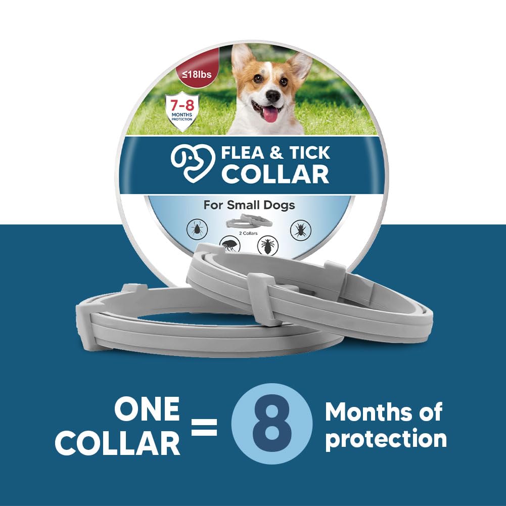 NJKPUYT collar para uso interior y exterior, funciona en cualquier condición.