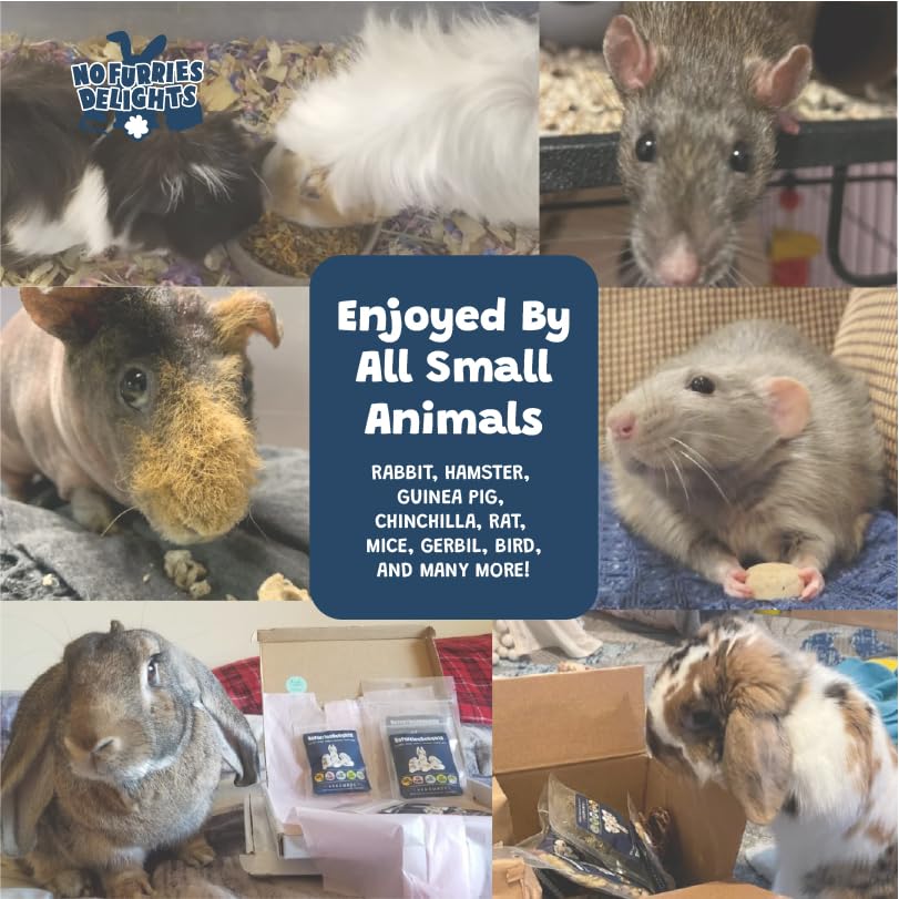 No Furries Delights para chinchilla: textura ligera que facilita la mordida diaria.