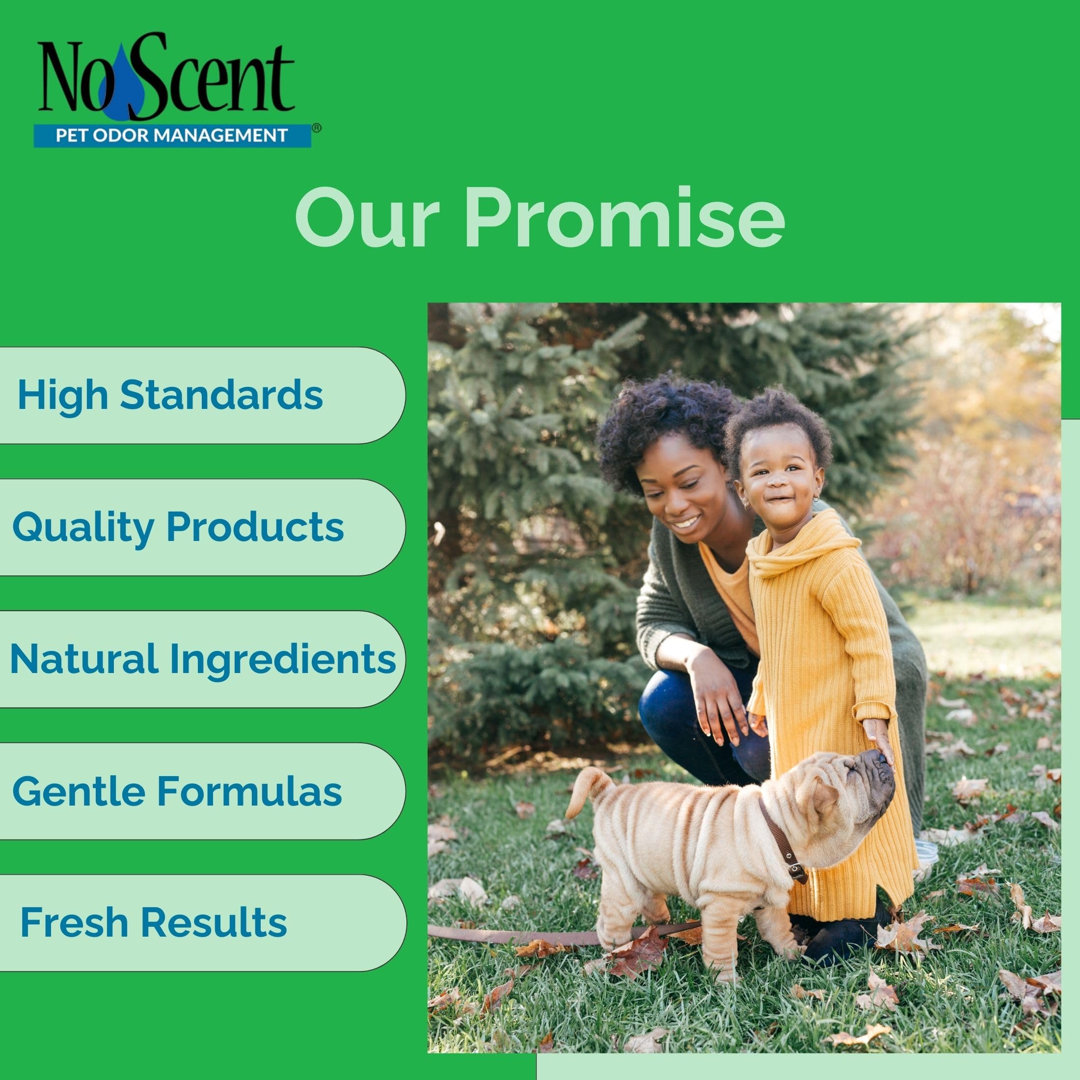 No Scent refresco diario del terrario para un ambiente más agradable