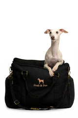 NOAH & PAW asiento coche para perro pequeno con acolchado cómodo y seguro