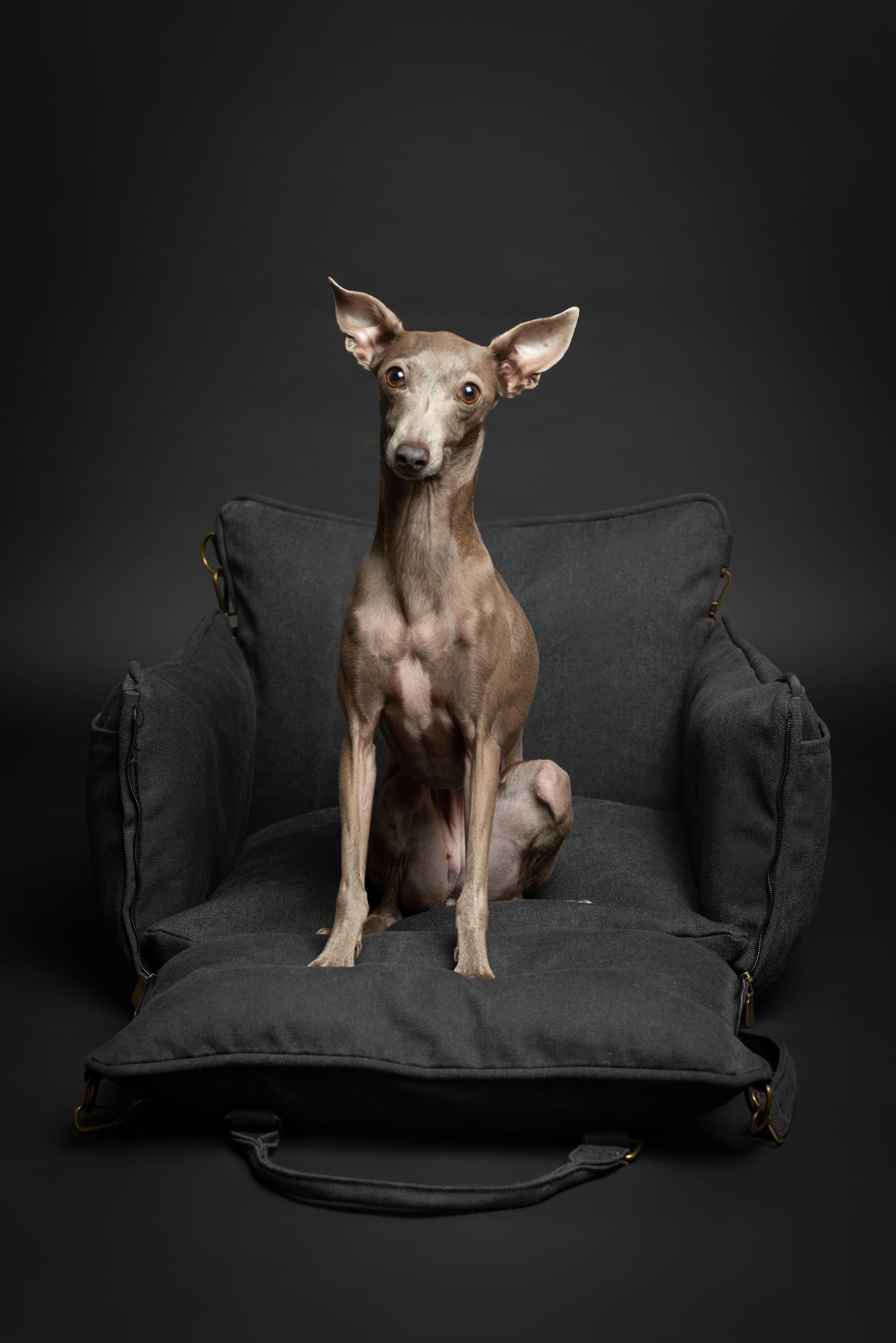 Base antideslizante mantiene el asiento estable NOAH & PAW