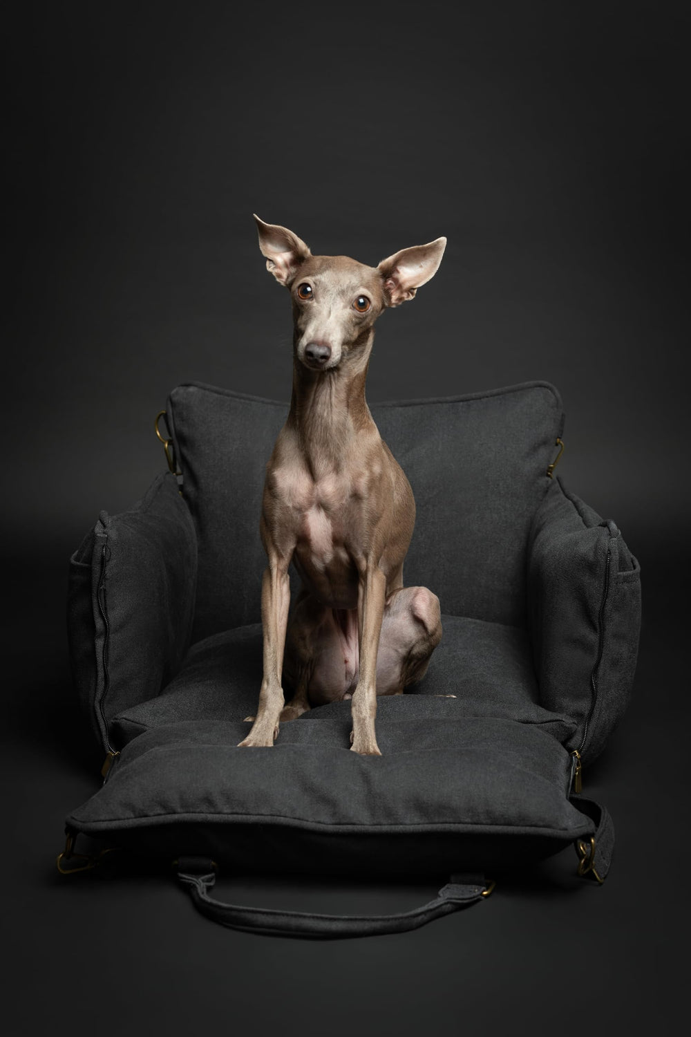 Base antideslizante mantiene el asiento estable NOAH & PAW