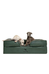 NOAH & PAW cama ortopédica para perro grande, base de espuma que soporta comodidad diaria.