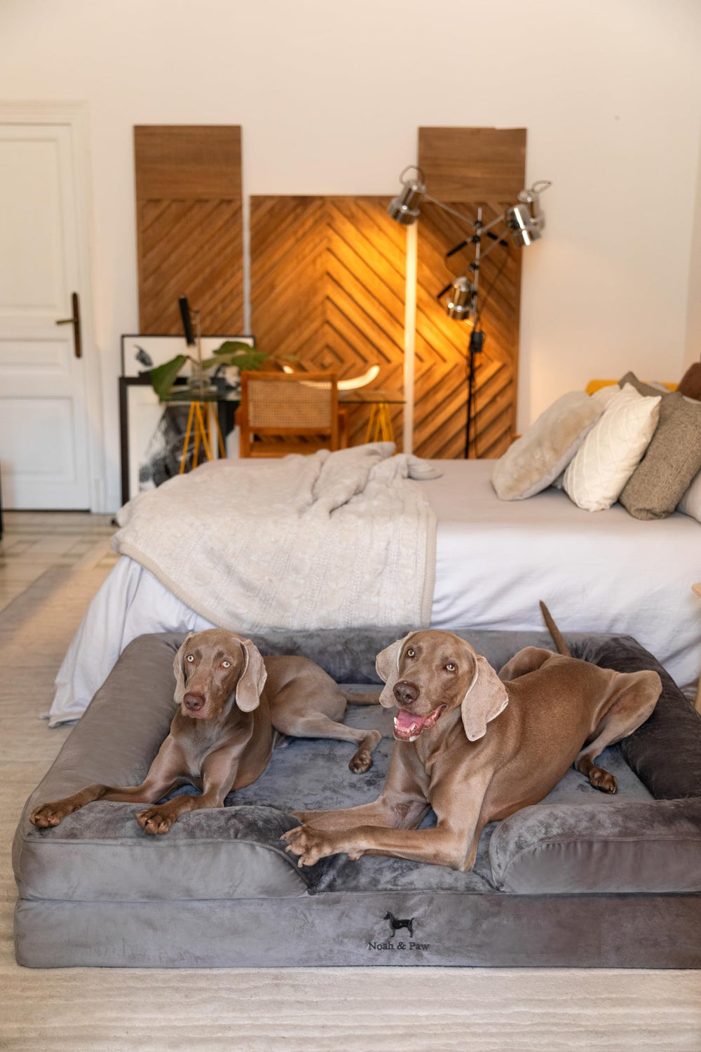 Borde elevado ergonómico NOAH & PAW para contención suave