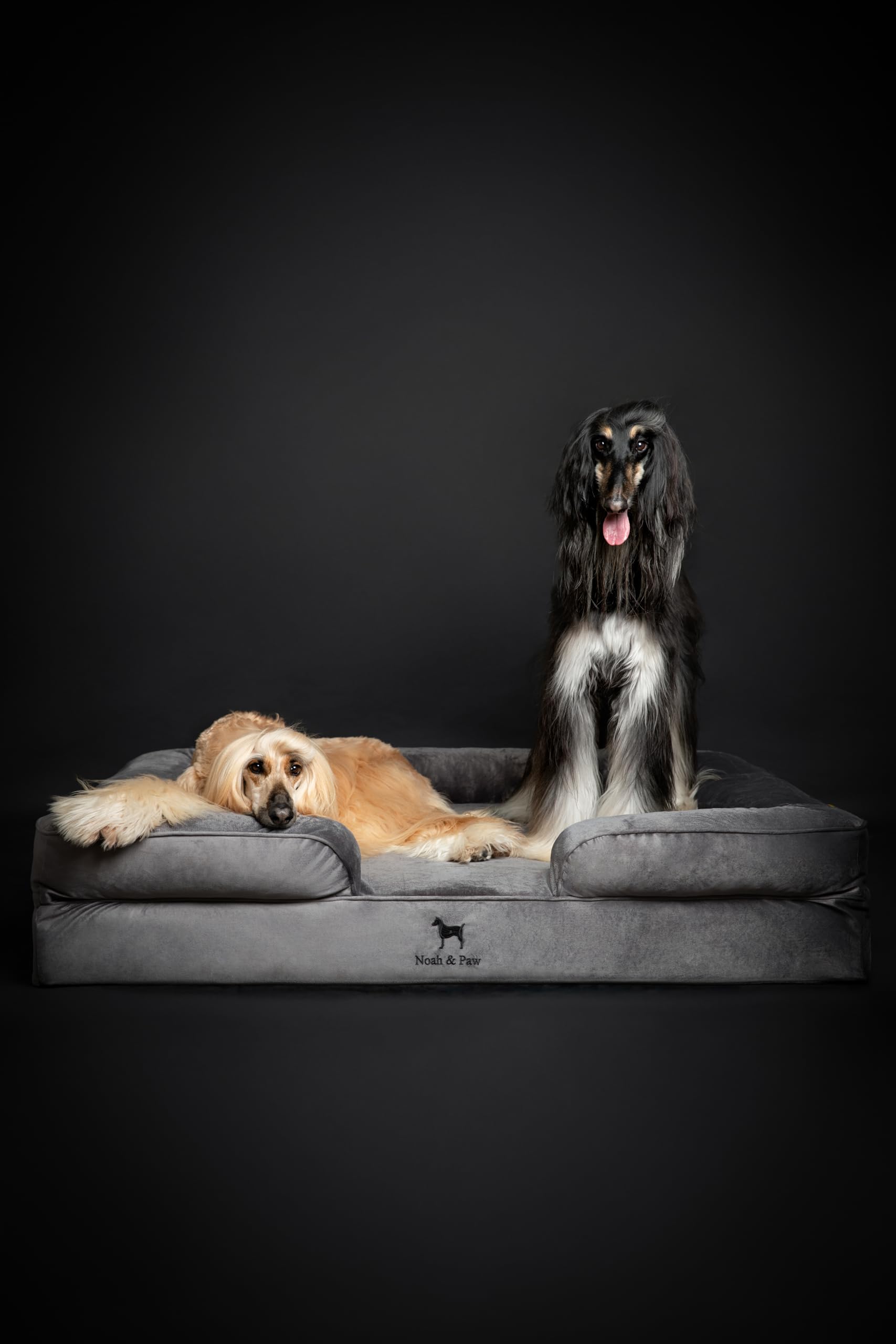 Tapizado en terciopelo NOAH & PAW para mayor comodidad