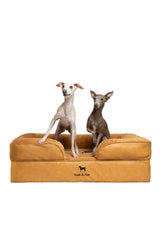 NOAH & PAW cama-perro-grande-ortopedica espuma-memoria ofrece soporte cómodo para la espalda.