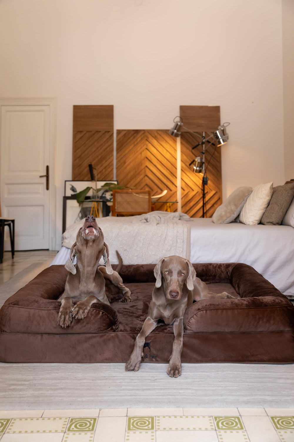 NOAH & PAW Cama XXL, enfoque en capas, espuma mantiene soporte estable.