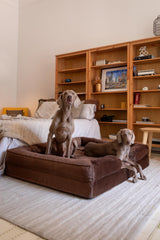 NOAH & PAW Cama XXL, detalle de soporte de 6 pulgadas para confort diario.