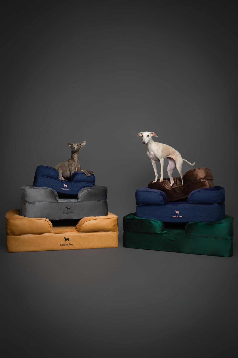 Cama NOAH & PAW XL, confort diario para perros.