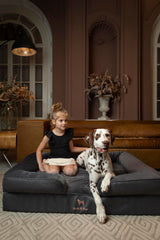 Cama NOAH & PAW XL con espuma viscoelástica para sueño cómodo.