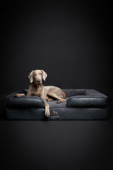Cama NOAH & PAW XL con gel refrescante para descanso más fresco.