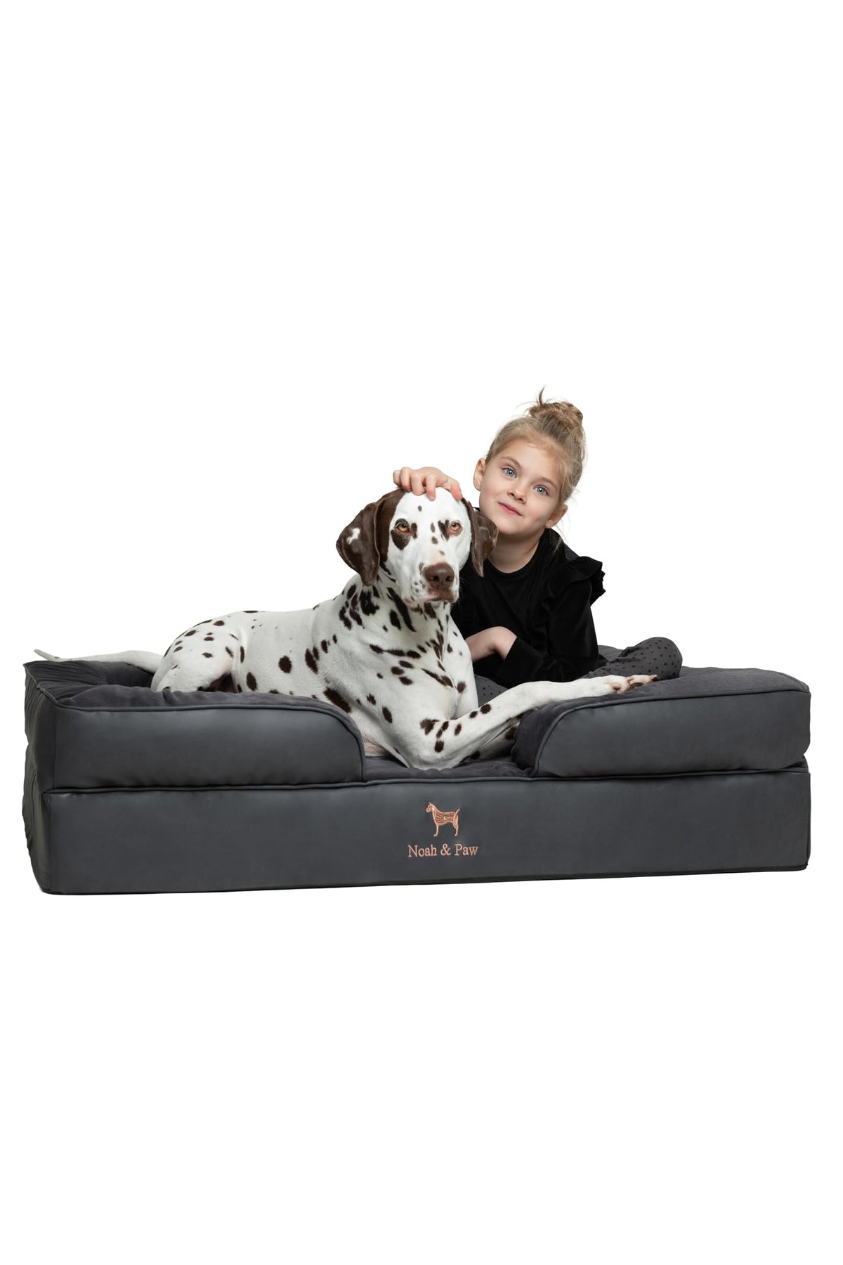 Cama NOAH & PAW XL, vista general para perros grandes y confortables.