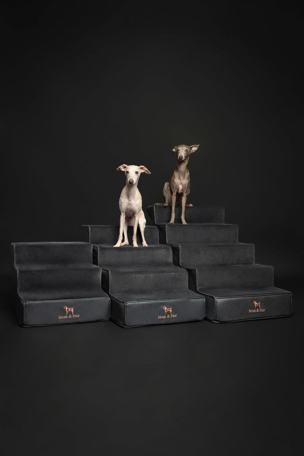 NOAH & PAW cierre cremallera 10 mm funda removible