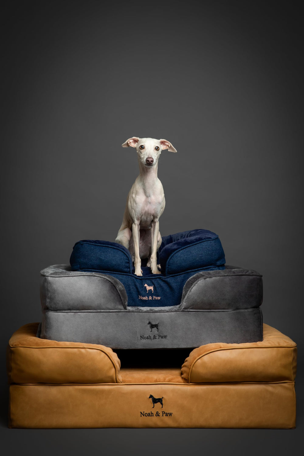 NOAH & PAW colocacion-rapida-cama-perro lista para usar en minutos.