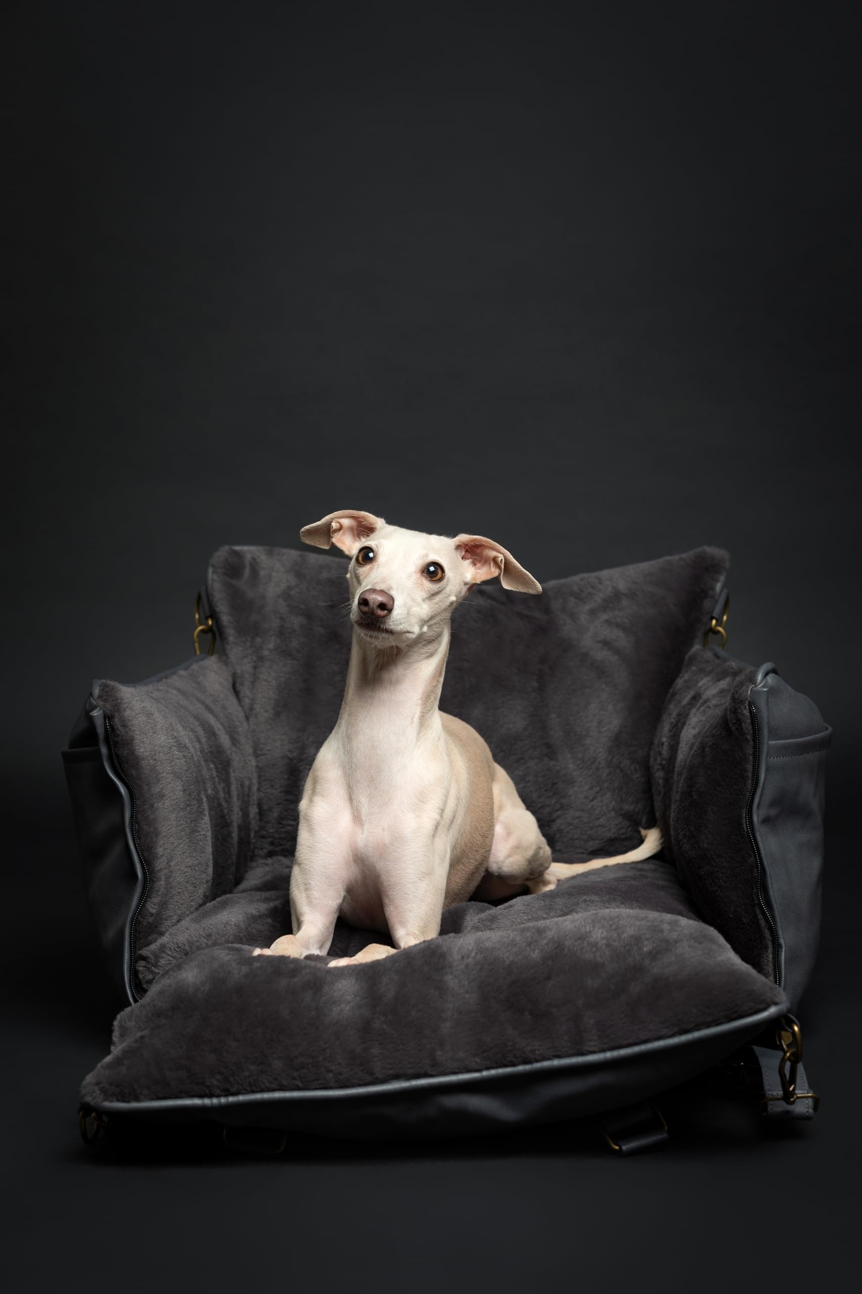 NOAH & PAW: asiento convertible en cama para mayor versatilidad.