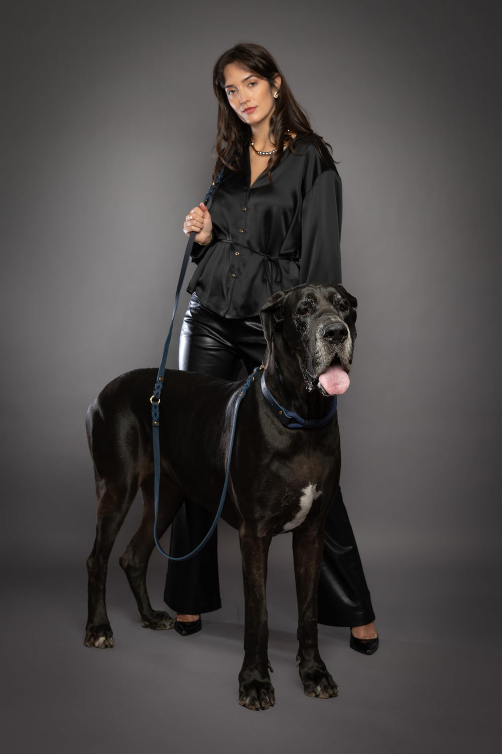 NOAH & PAW: correa adaptable para gatos y perros de distintos tamaños.