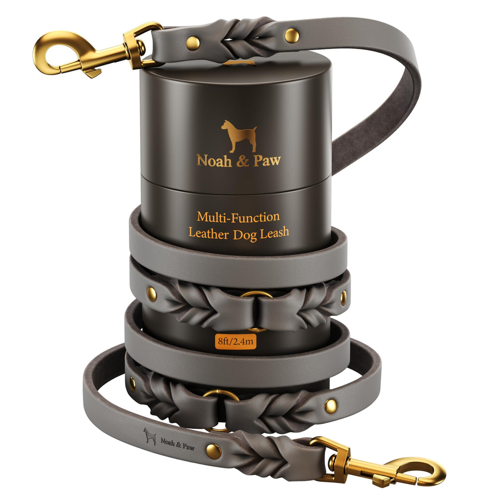 Correa NOAH & PAW de cuero aceitado, vista frontal, aspecto elegante para paseos.