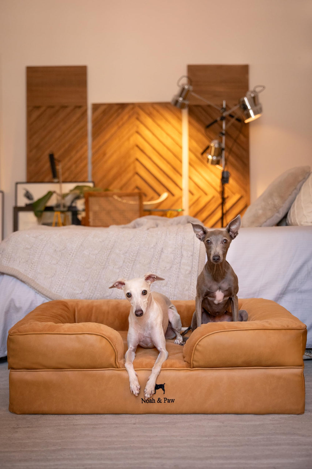 NOAH & PAW dimensiones 35x25x11 cama-perro ideal para razas grandes.