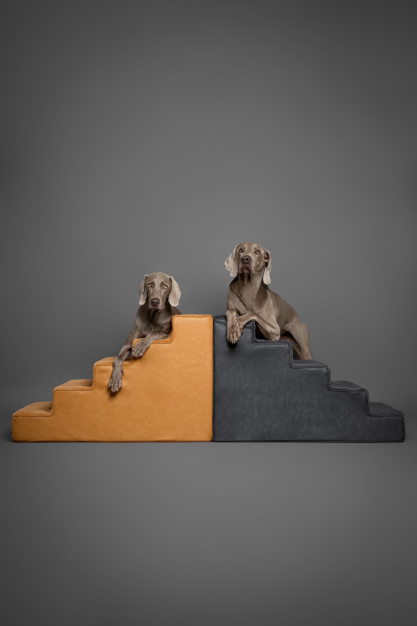 NOAH & PAW diseño de una pieza instalación sin complicaciones