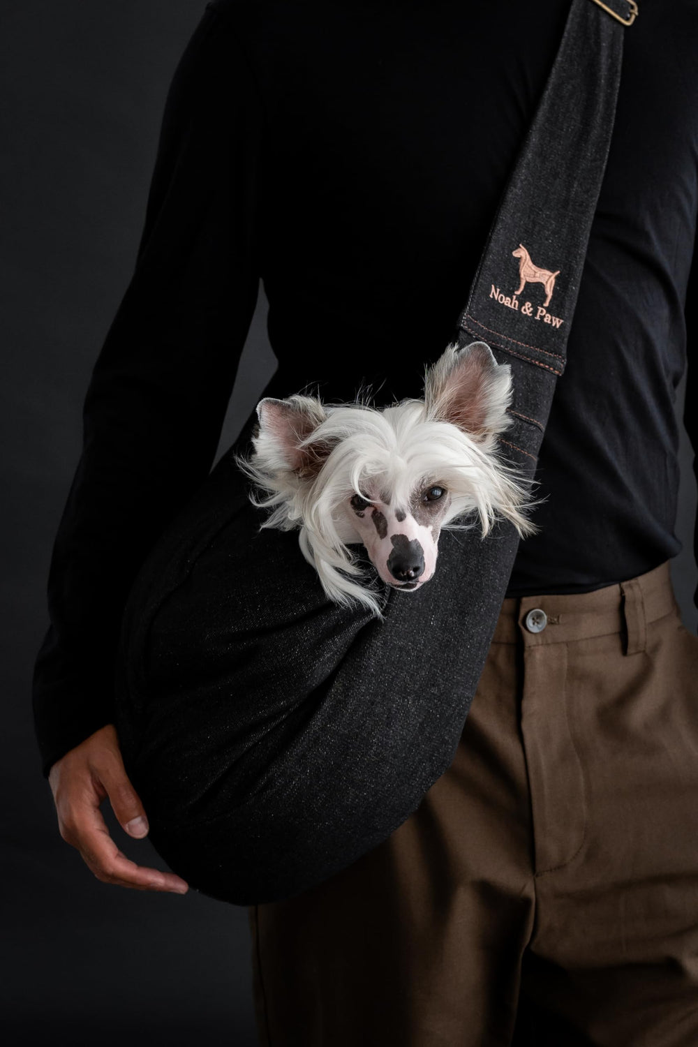 Noah & Paw recomendado para mascotas mayores.