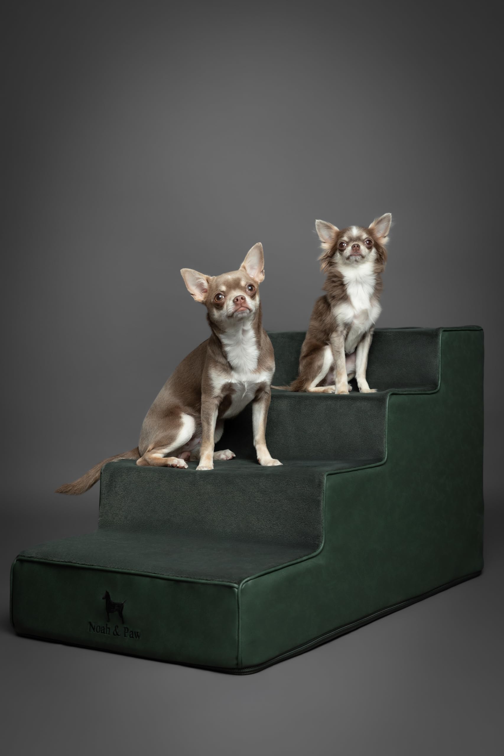 Noah & Paw escalera ancha 16-17-20 pulgadas para perros grandes.