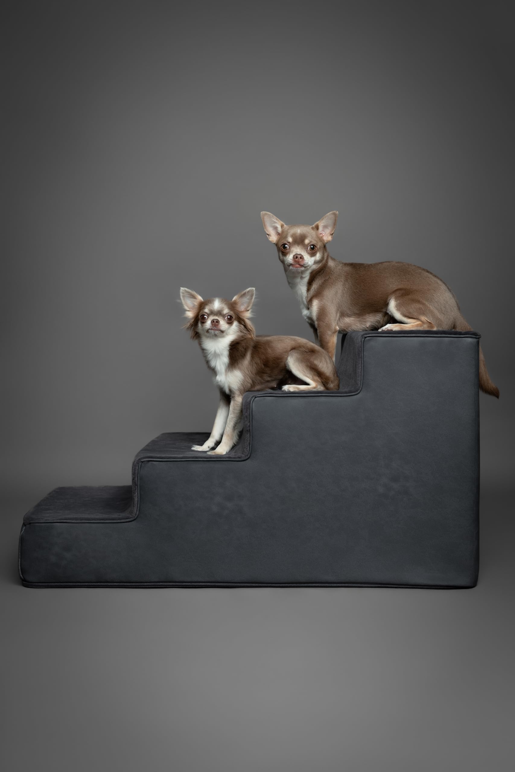 Noah & Paw ancho 16–17 pulgadas para perros de todos los tamaños.