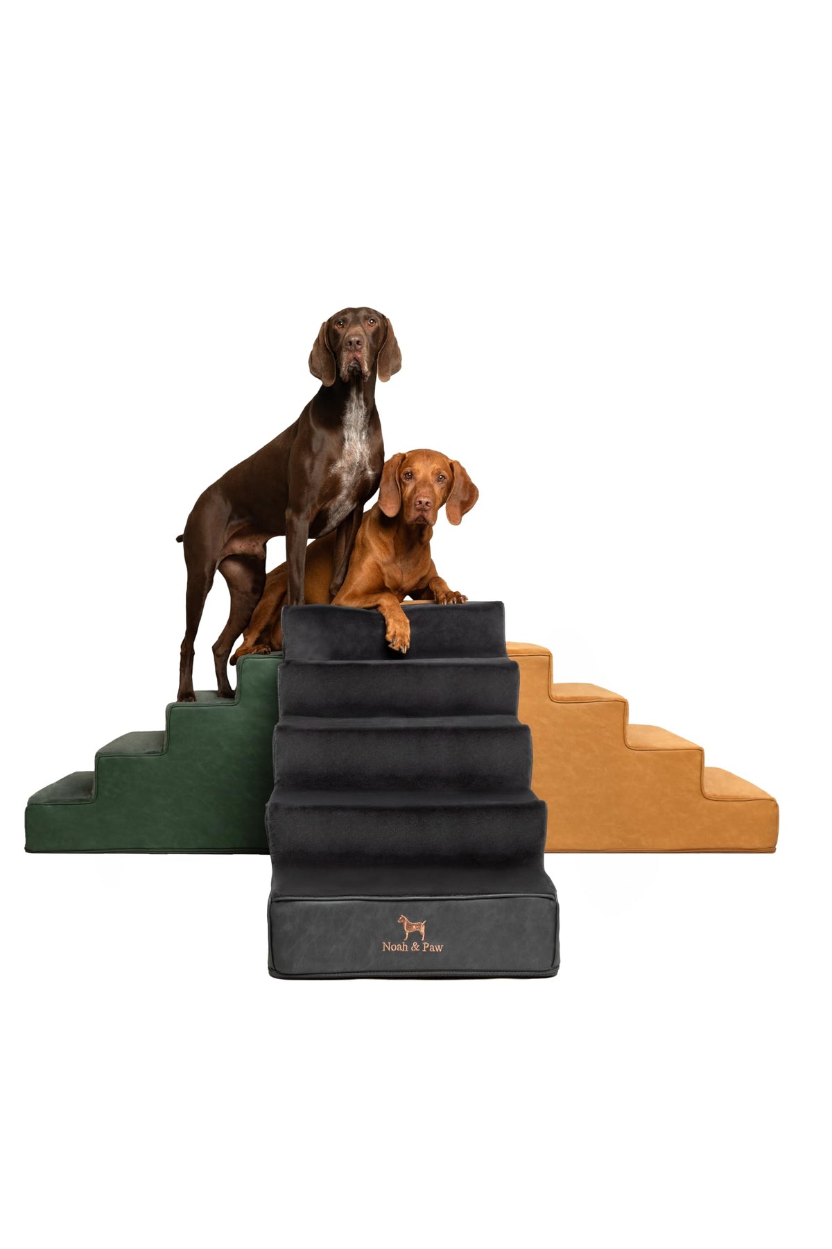 NOAH & PAW escaleras para perros cama 20 pulgadas subida suave