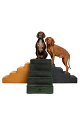 NOAH & PAW escaleras-perro-cuero-lujo: acceso cómodo para mascotas en casa