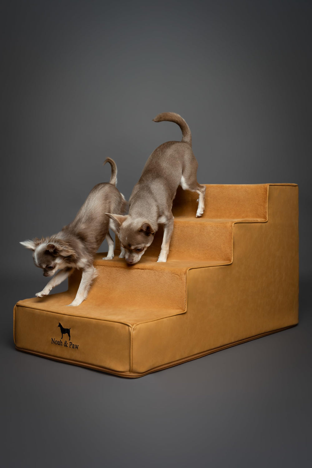 Noah & Paw diseño una pieza facilita instalación rápida