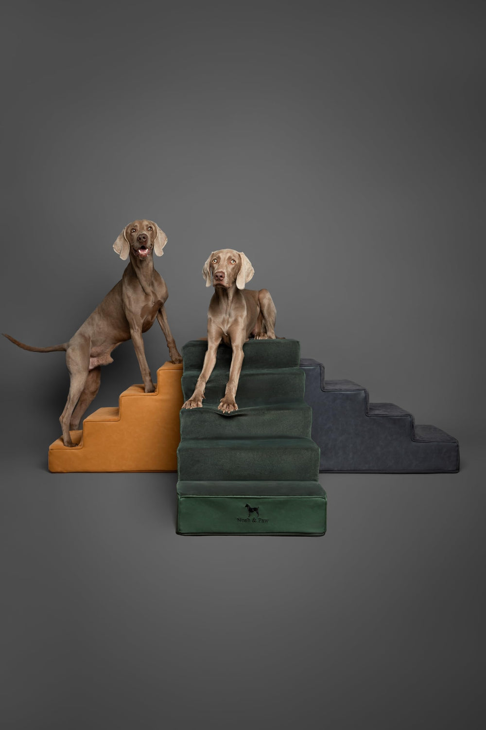NOAH & PAW estabilidad-durabilidad-escaleras-perro: seguridad para subir y bajar