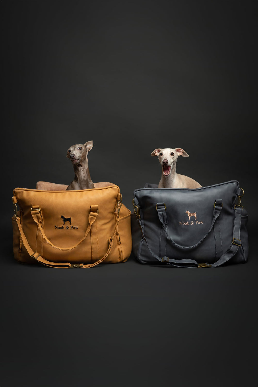 NOAH & PAW: funda desmontable y lavable para limpieza fácil.
