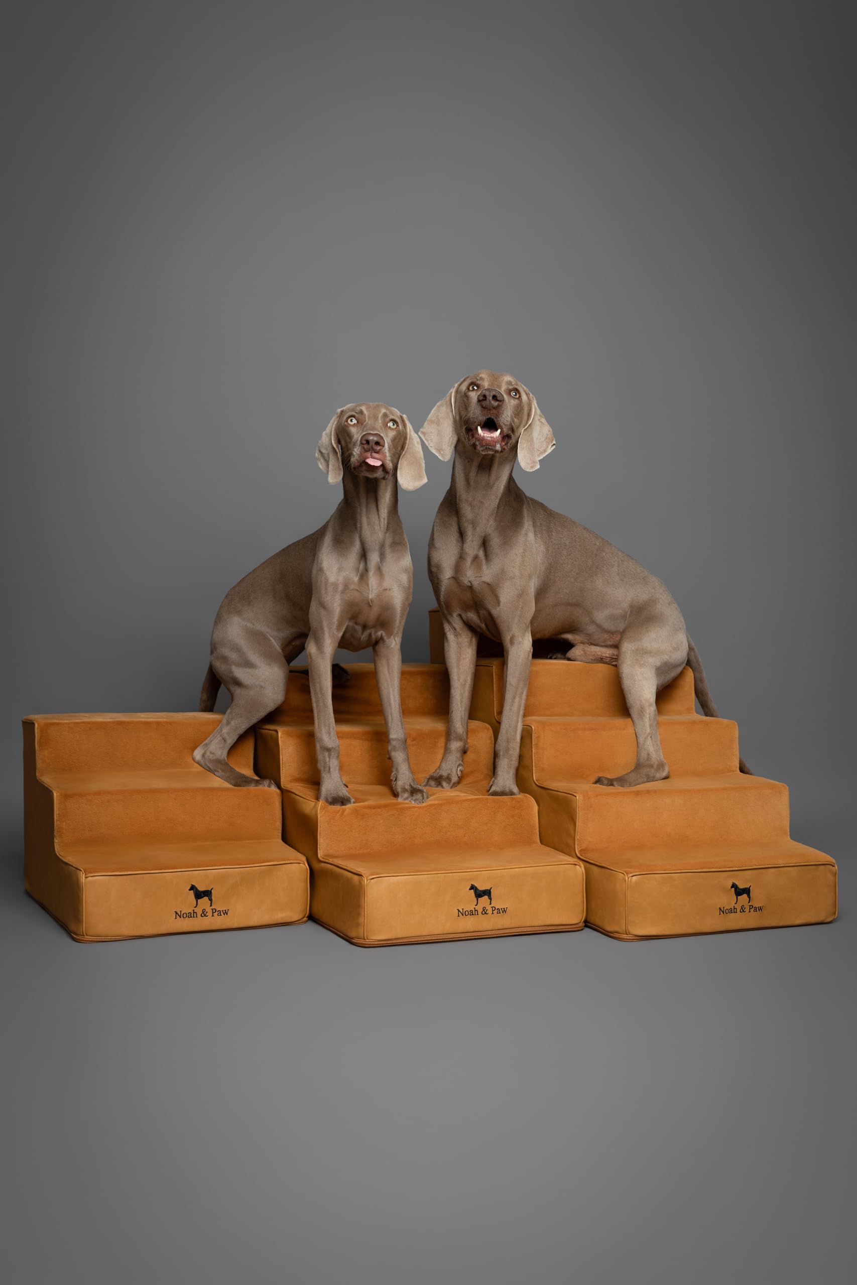 Noah & Paw funda removible, lavado sencillo