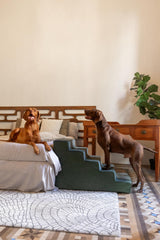 NOAH & PAW rampa-cama-20-pulgadas-anchura: ideal para muebles altos