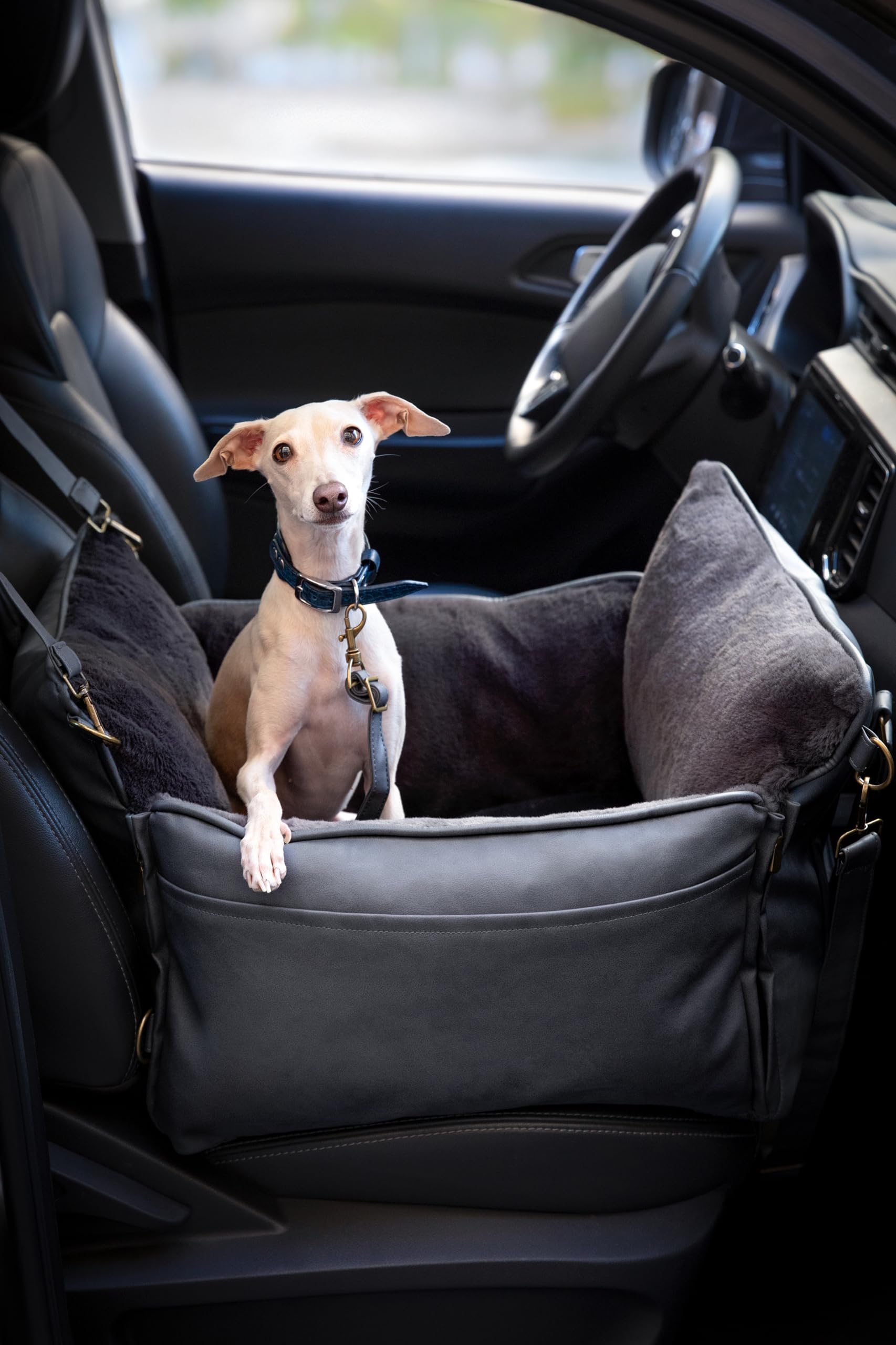 NOAH & PAW: lazos para cinturón del coche, seguridad reforzada durante viajes.