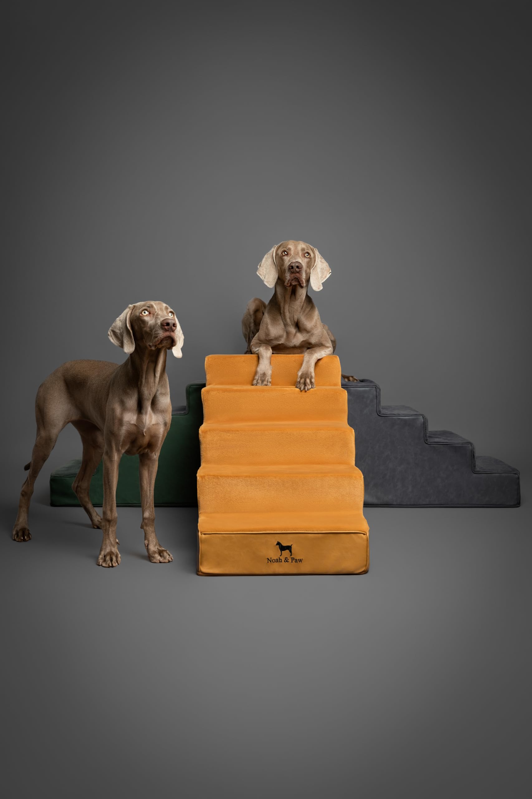 Noah & Paw uso diario: cama o sofá, fácil de usar