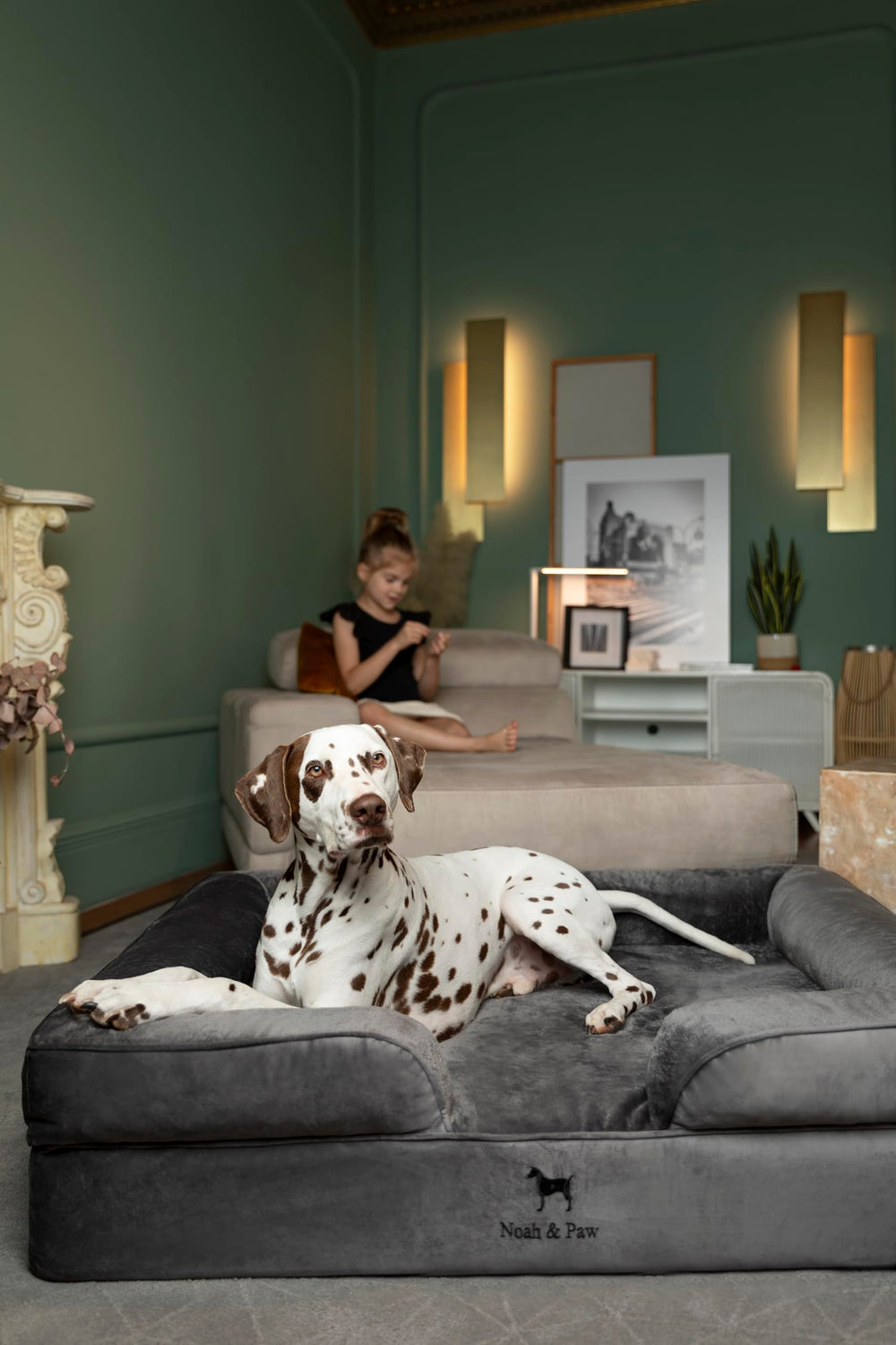 Acabado en terciopelo de la NOAH & PAW XL para interiores elegantes