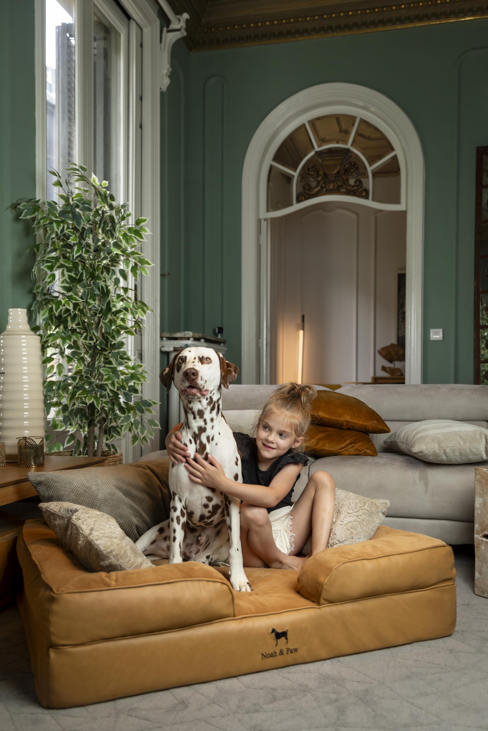 NOAH Y PAW XL, espuma memoria ortopédica para apoyo de articulaciones.