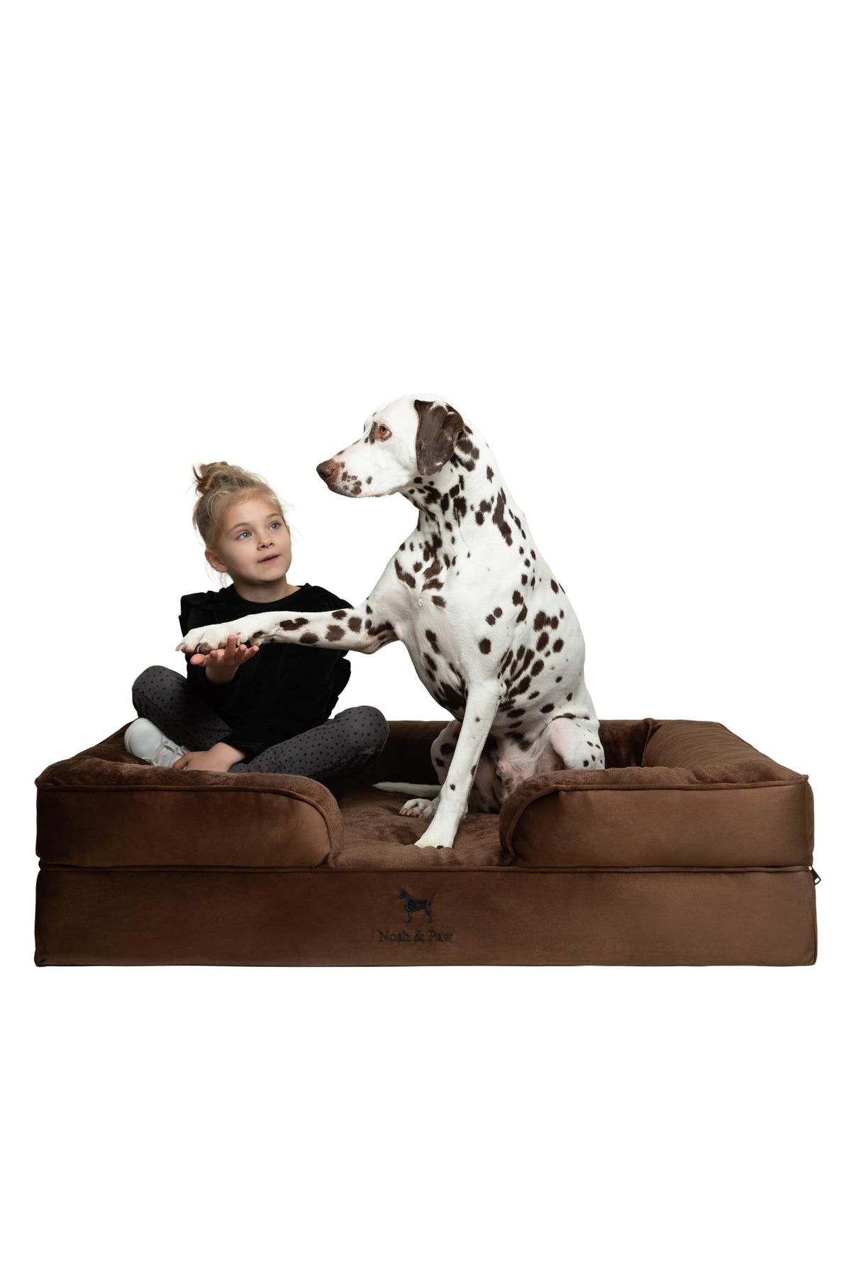 NOAH & PAW XL cama ortopédica para perros grandes, vista general de confort